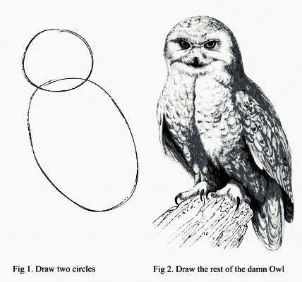 drawning-owl